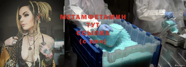 шишки Богородицк