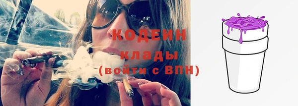 шишки Богородицк