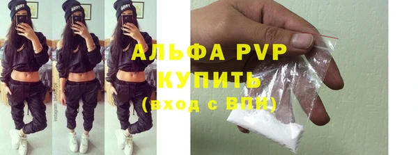 шишки Богородицк