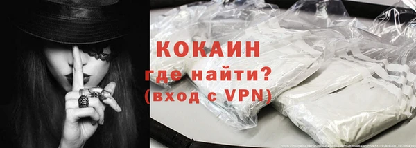 шишки Богородицк