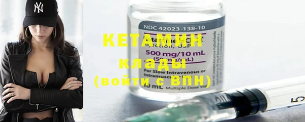 шишки Богородицк