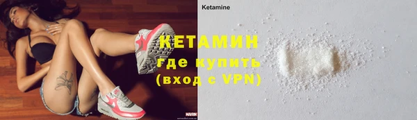 шишки Богородицк