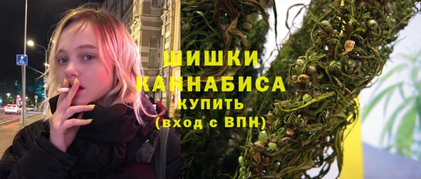 шишки Богородицк