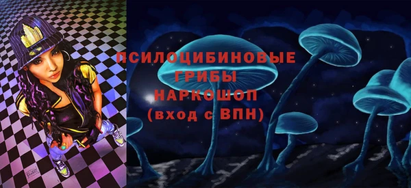 шишки Богородицк