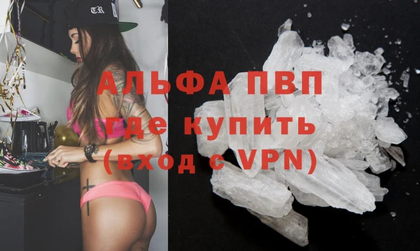 шишки Богородицк