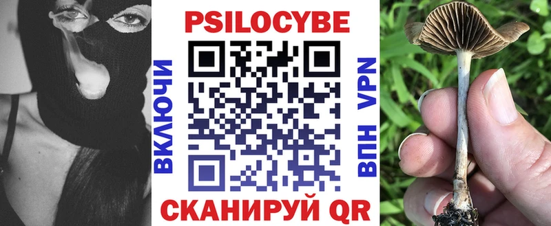 KRAKEN как зайти  Севск  Галлюциногенные грибы Magic Shrooms 